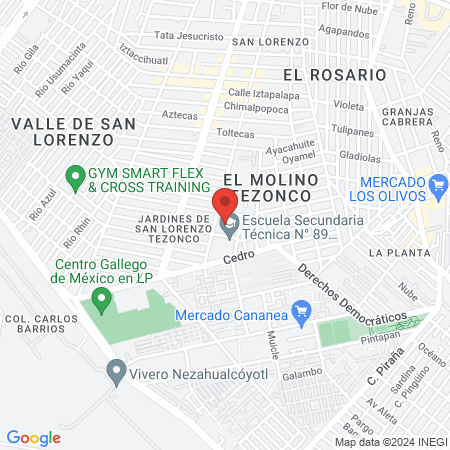 Veterinaria y Estética Canina Firulais map