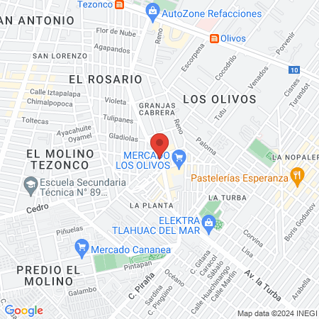 Veterinaria Yoali map