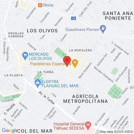 Frida Kahlo's Spa map