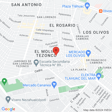 Dental OrthoClean map