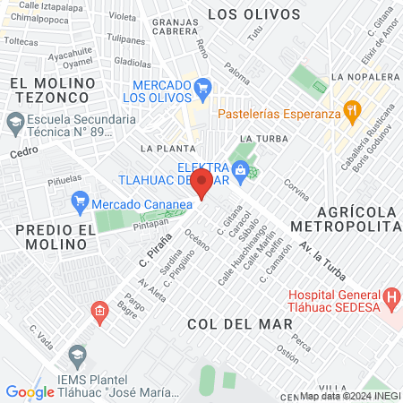 Centro Veterinario MedVed map