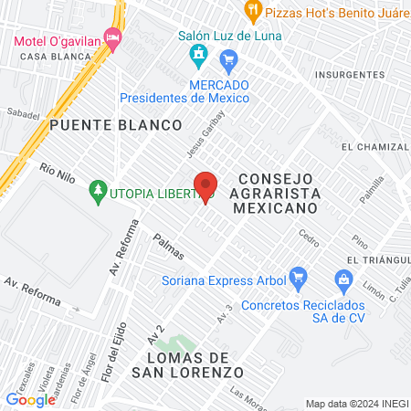 Consultorio podologico map