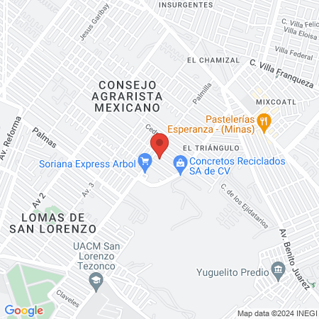 Mexfan El Árbol map