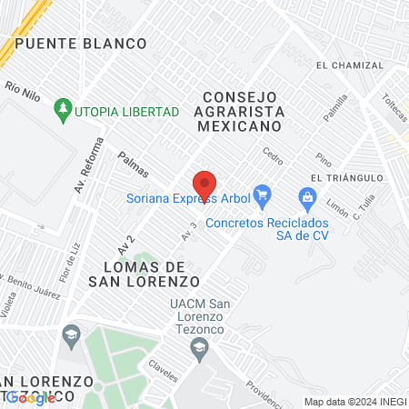 Centro De Atención Para Pies map