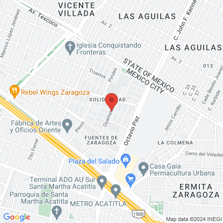 Consultorio Veterinario -Animal Pets map