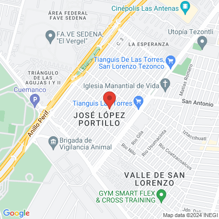 Dra Ivette podologa map