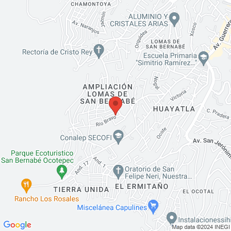 Técnica y Estilo map