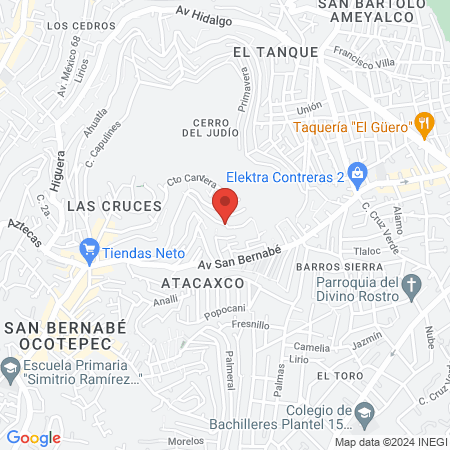 Servicios Médico Veterinarios. MVZ Juan G. Lazcano map
