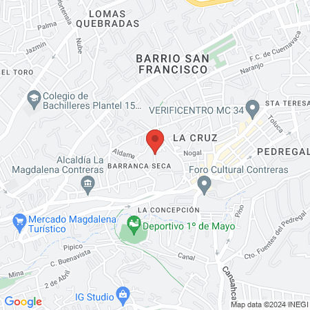 Pedíatra Roberto Camargo Hernández map