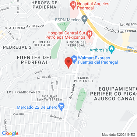 Pet & Vet Pedregal Express map
