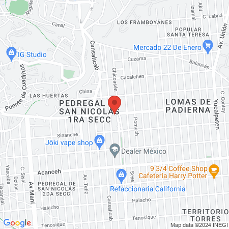 Veterinaria y Estética Canina PETIT Pedregal map