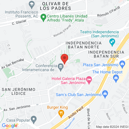 IMSS Unidad de Medicina Familiar 22 map