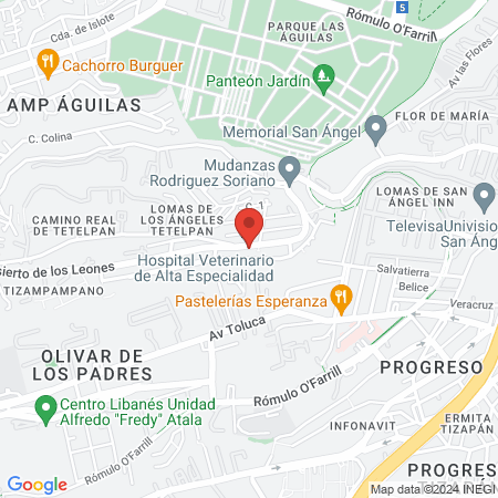 Hospital Veterinario de Alta Especialidad map