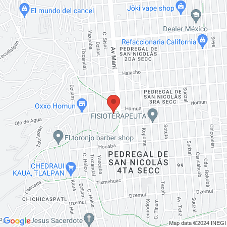 Centro de Salud T-I Pedregal de San Nicolás Sur map