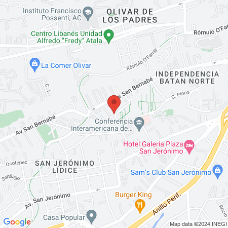 odontologia inclusiva map