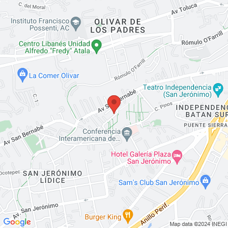 Cann y Vets Anatomy map