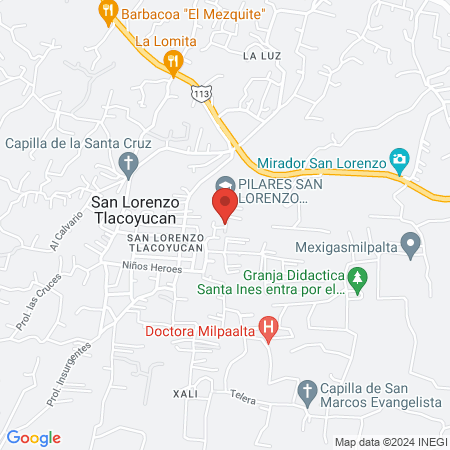 Centro de Salud San Lorenzo Tlacoyucan map