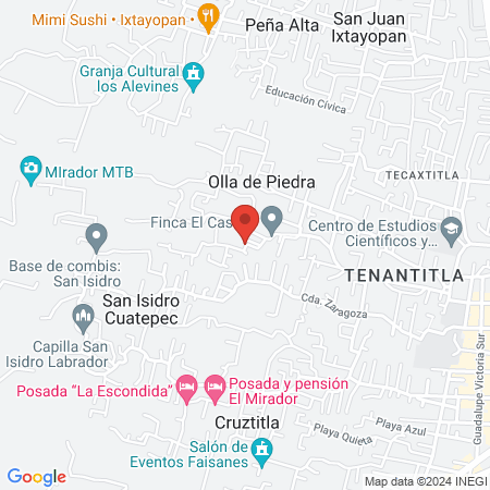 Estética canina salud y belleza map