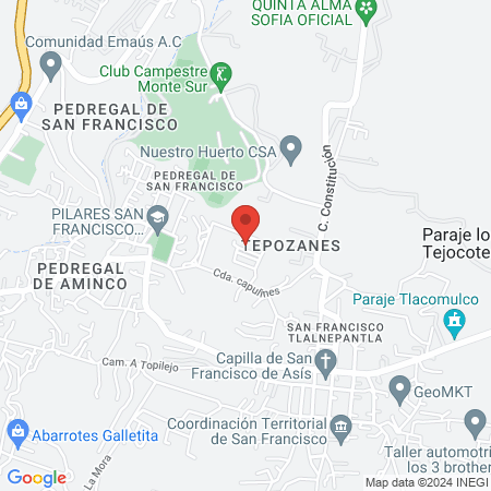 Clínica veterinaria map