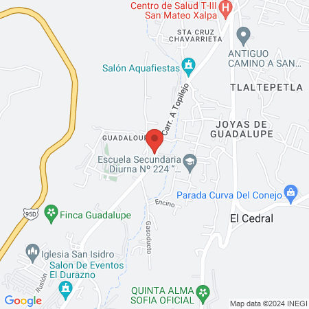 Itzcuintla Esterilizaciones map