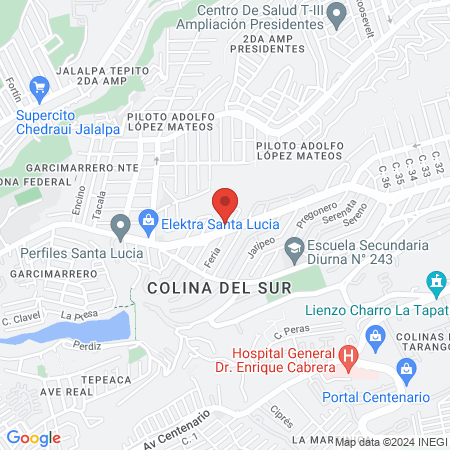 Centro Veterinario Perro Gato map