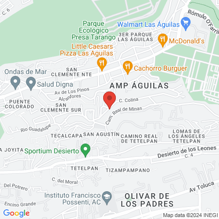 Consultorio Veterinario "Nefi" map