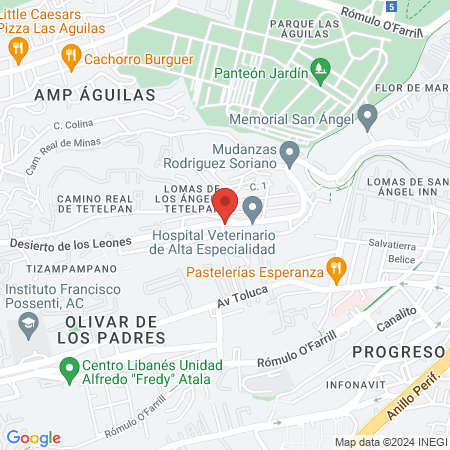 CLINICA VETERINARIA map