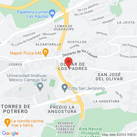 Depilite S.A. de C.V. map