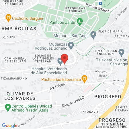 Guillermo Carlos de Wit Cárter map