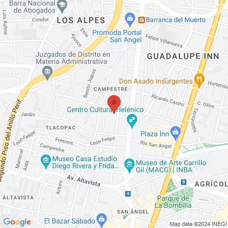 Dra. Elena Fernández del Valle Larsen, Psiquiatra map