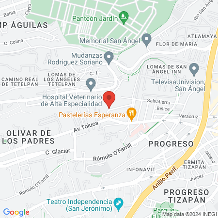 CIRUJANO DENTISTA map