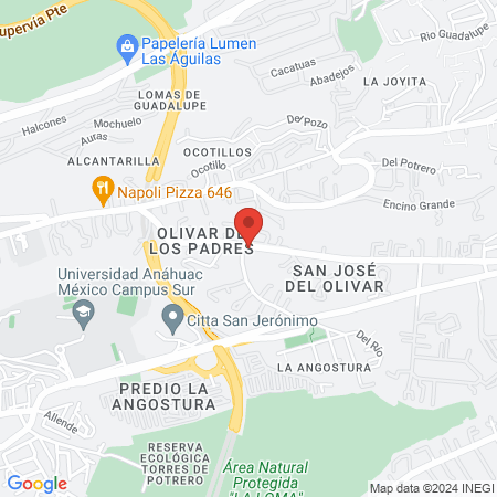 Imagen Estética map