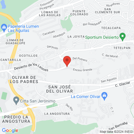 TUTE Studio Desierto de los Leones map