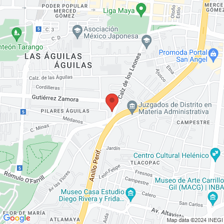 Dra. María Andrea Peñaloza Posada, Endoscopista map