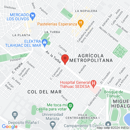 Consultorio farmacias del sur map
