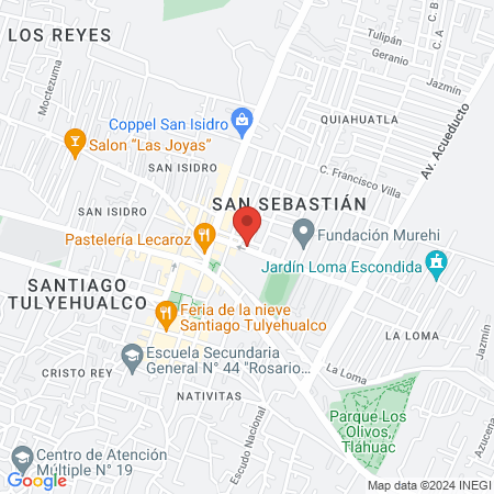 Estética "Shampoo" map