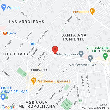 CLINICA VETERINARIA "ZELTZIN" map