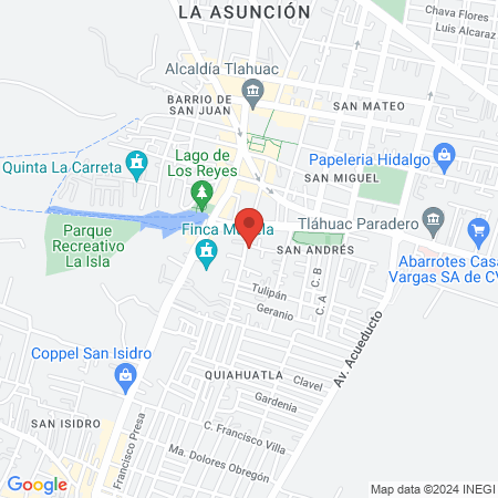 Estética Unisex Sol map