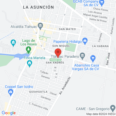Gimnasio Apolo map