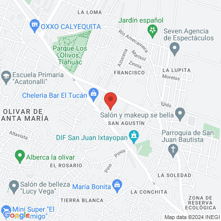 Xtasis Nails Tlahuac map