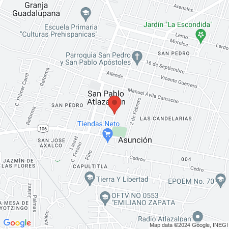 Veterinaria Axalco map