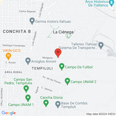 EL PUNTO DEL MIKY map