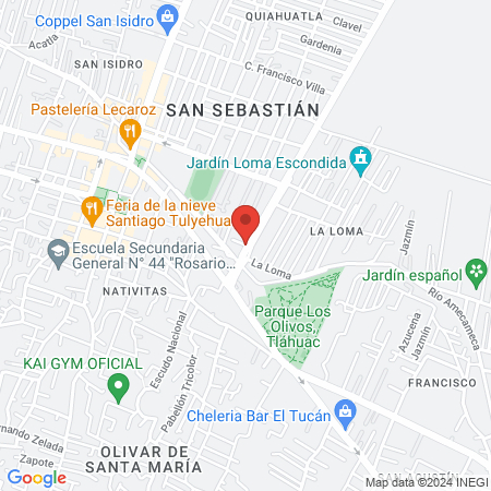 ESTETICA ARIES UNISEX map