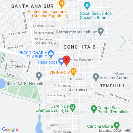 Centro Veterinario IDEA map