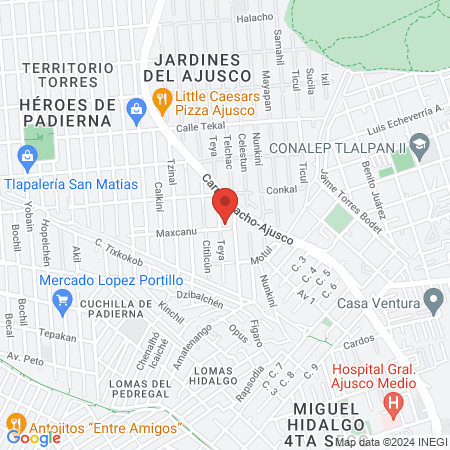 Temazcal Ameztli map