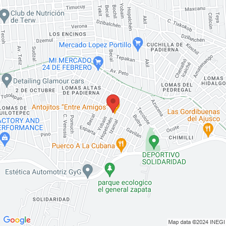 Servicios Veterinarios del sur map