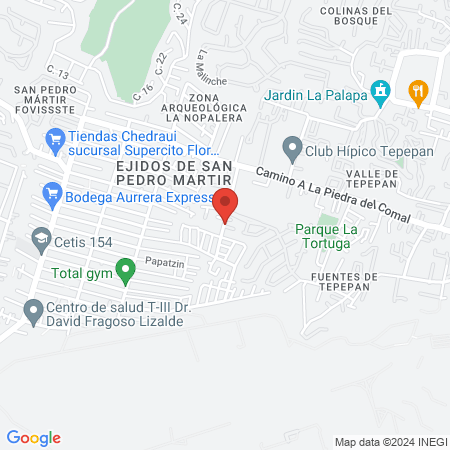 mDental Fuentes de Tepepan map