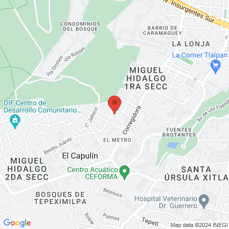 TECNOLOGIA AUDITIVA DEL SUR map