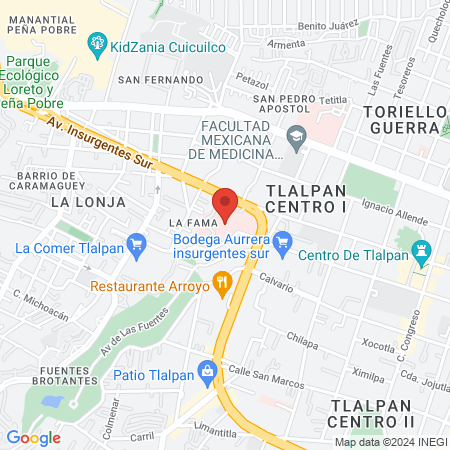 Instituto Nacional de Neurología y Neurocirugía map