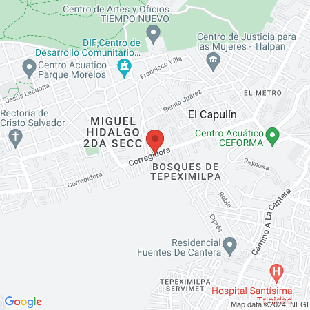 Clínica veterinaria Patitas planet map